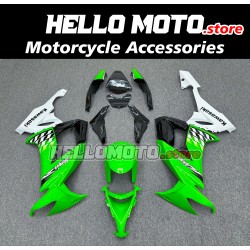 Kawasaki ZX-10R 2008-2010 Fairing P/N 4K8