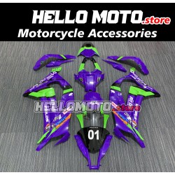 Kawasaki ZX-10R 2011-2015 Fairing P/N 4L1