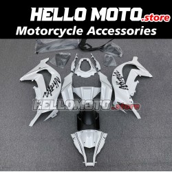 Kawasaki ZX-10R 2011-2015 Fairing P/N 4L6