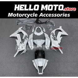 Kawasaki ZX-10R 2011-2015 Fairing P/N 4L6