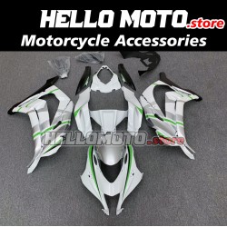 Kawasaki ZX-10R 2016-2020 Fairing P/N 4M4