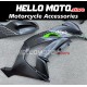 Kawasaki ZX-10R 2016-2020 Fairing P/N 4M17
