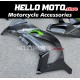 Kawasaki ZX-10R 2016-2020 Fairing P/N 4M17