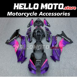 Kawasaki ZX-10R 2021-2025 Fairing P/N 4N3