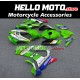 Kawasaki ZX-10R 2021-2025 Fairing P/N 4N9