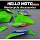 Kawasaki ZX-10R 2021-2025 Fairing P/N 4N9