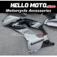 Kawasaki ZX-10R 2021-2025 Fairing P/N 4N10