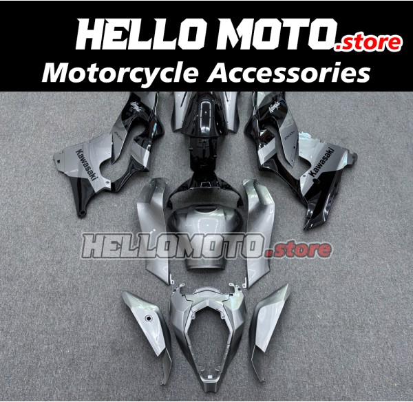 Kawasaki ZX-10R 2021-2025 Fairing P/N 4N10