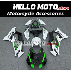 Kawasaki ZX-10R 2021-2025 Fairing P/N 4N6