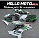 Kawasaki ZX-10R 2021-2025 Fairing P/N 4N6