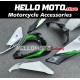 Kawasaki ZX-10R 2021-2025 Fairing P/N 4N6