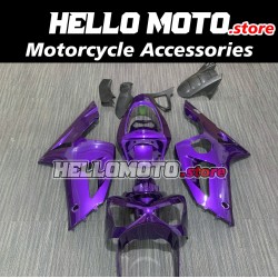 Kawasaki ZX-6R 636 2003-2004 Fairing P/N 4C3