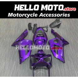 Kawasaki ZX-6R 636 2003-2004 Fairing P/N 4C3