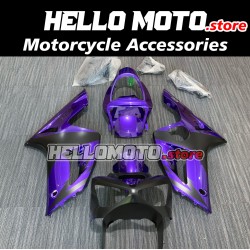 Kawasaki ZX-6R 636 2003-2004 Fairing P/N 4C4