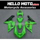 Kawasaki ZX-6R 636 2005-2006 Fairing P/N 4D23