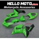 Kawasaki ZX-6R 636 2005-2006 Fairing P/N 4D23