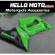 Kawasaki ZX-6R 636 2005-2006 Fairing P/N 4D23