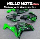 Kawasaki ZX-6R 636 2007-2008 Fairing P/N 4E12 Kawasaki ZX-6R 636 2007-2008 Fairing P/N 4E12