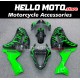 Kawasaki ZX-6R 636 2007-2008 Fairing P/N 4E12 Kawasaki ZX-6R 636 2007-2008 Fairing P/N 4E12