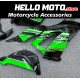 Kawasaki ZX-6R 636 2013-2018 Fairing P/N 4G5