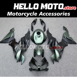 Kawasaki ZX-6R 636 2019-2022 Fairing P/N 4H17