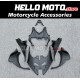 Kawasaki ZX-6R 636 2023-2025 Fairing P/N 4AW4