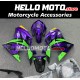 Kawasaki Ninja 250R 2008-2012 Fairing P/N 4V6