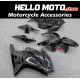 Kawasaki Ninja 250R 2008-2012 Fairing P/N 4V9 Kawasaki Ninja 250R 2008-2012 Fairing P/N 4V9