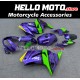 Kawasaki Ninja 250R 2008-2012 Fairing P/N 4V6