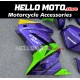 Kawasaki Ninja 250R 2008-2012 Fairing P/N 4V6
