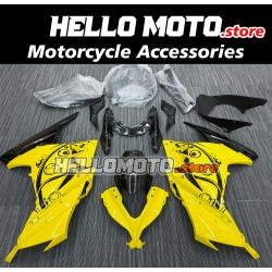 Kawasaki Ninja 300 2013-2018 Fairing P/N 4W1