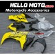 Kawasaki Ninja 300 2013-2018 Fairing P/N 4W1
