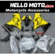 Kawasaki Ninja 300 2013-2018 Fairing P/N 4W1
