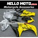 Kawasaki Ninja 300 2013-2018 Fairing P/N 4W1