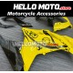 Kawasaki Ninja 300 2013-2018 Fairing P/N 4W1