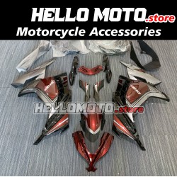Kawasaki Ninja 300 2013-2018 Fairing P/N 4W3