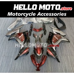 Kawasaki Ninja 300 2013-2018 Fairing P/N 4W3