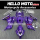 Kawasaki Ninja 300 2013-2018 Fairing P/N 4W9 Kawasaki Ninja 300 2013-2018 Fairing P/N 4W9