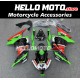 Kawasaki Ninja 300 2013-2018 Fairing P/N 4W11 Kawasaki Ninja 300 2013-2018 Fairing P/N 4W11