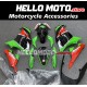 Kawasaki Ninja 300 2013-2018 Fairing P/N 4W11 Kawasaki Ninja 300 2013-2018 Fairing P/N 4W11