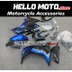 Kawasaki Ninja 300 2013-2018 Fairing P/N 4W13 Kawasaki Ninja 300 2013-2018 Fairing P/N 4W13
