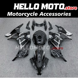 Kawasaki Ninja 300 2013-2018 Fairing P/N 4W14