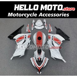 Kawasaki Ninja 300 2013-2018 Fairing P/N 4W15