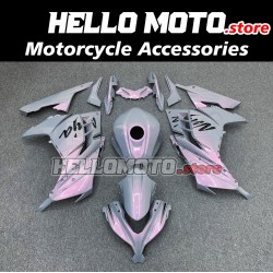 Kawasaki Ninja 300 2013-2018 Fairing P/N 4W16