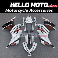 Kawasaki Ninja 300 2013-2018 Fairing P/N 4W2