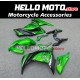 Kawasaki Ninja 300 2013-2018 Fairing P/N 4W21 Kawasaki Ninja 300 2013-2018 Fairing P/N 4W21