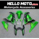 Kawasaki Ninja 300 2013-2018 Fairing P/N 4W21 Kawasaki Ninja 300 2013-2018 Fairing P/N 4W21