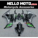 Kawasaki Ninja 300 2013-2018 Fairing P/N 4W12