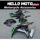 Kawasaki Ninja 300 2013-2018 Fairing P/N 4W12