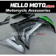 Kawasaki Ninja 300 2013-2018 Fairing P/N 4W12